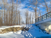 Bridge Winter 