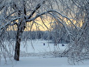 Hockey Night in Canada