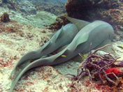 Don,t worry, it will be okay