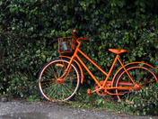 Orange Bicycle