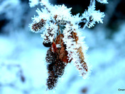 Beautiful crystal creation