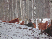 Where the winds meet