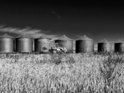 Dude Where's My Tractor?