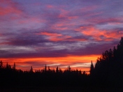 Alberta Sunrise