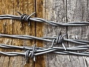 Barbed Wire Fence