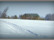 "Evidence of Snowmobile"