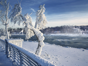 Polar Vortex in Niagara Falls