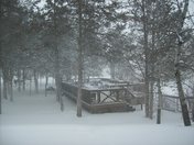 Snow floying outside Loyalist college Library