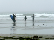 Tofino Surf