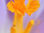 Time for my Close Up