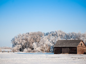 Prairie Landscape