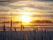 Manitoba Sunset