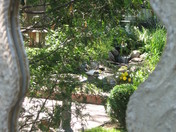 reflection of the pond's waterfalls