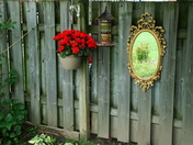 Reflections of a tiny yard