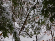 Snow covered Komoka Park