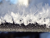 frost on a pole