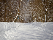 the trail less travelled by...