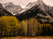 Part of saw back range