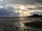 Foggy skies on a flooded farmers field