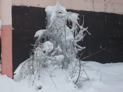 Lovely Icicle Sculpture in Downtown Belleville