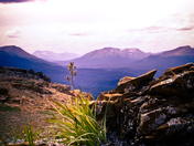 Mountains of Grand Cache