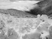 Snowscape in Morning Light- Vermont