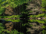 River Reflection