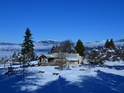 Scenic view after snowfall