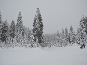 Break during snowshoeing