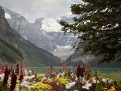 Lake Louise 