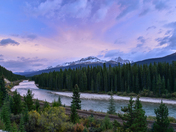 The other side of Morants curve