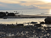 Sandy Dunes in Gros Morne