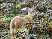 She's Closer Than You Think