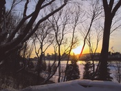 The squirrel view of Montreal