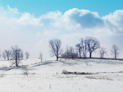 Countryside Winter