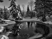 Winter in the cariboo