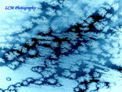 "On Windows When It's Cold"