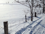 "It's Spring But Looks Like Winter