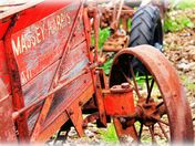 Antique Tractor