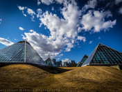 Edmonton Muttart concervatory 