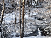 After a Spring Snowstorm!