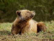 Spring Is In The Air