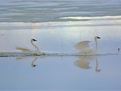 making a grand entrance