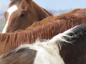 I've got your backs, girls. 