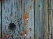 Old Homestead, Shiloh