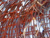 Old Homestead, Shiloh