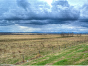 Alberta Prairies 