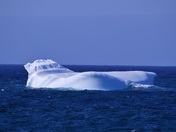 The iceberg