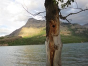 Waterton National Park