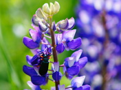 What lovely legs you have.....